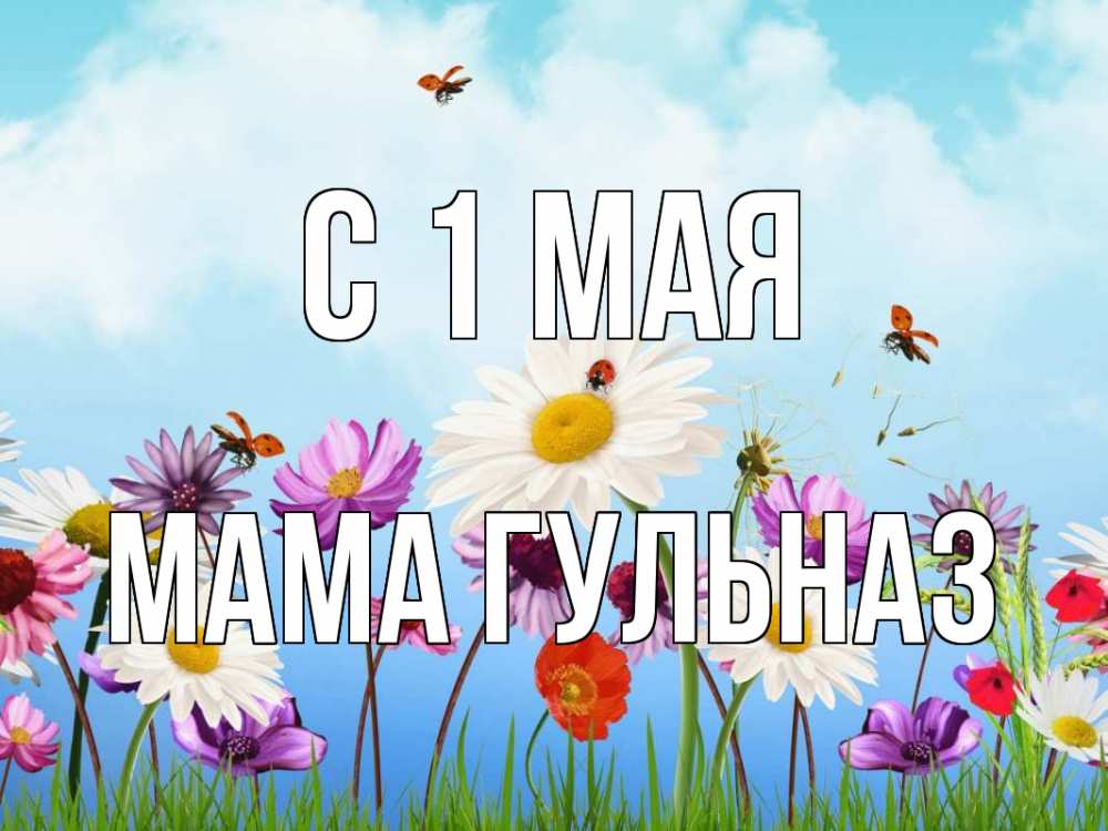 Открытка на каждый день с именем, Мама-Гульназ С 1 мая С 1 мая Прикольная открытка с пожеланием онлайн скачать бесплатно 