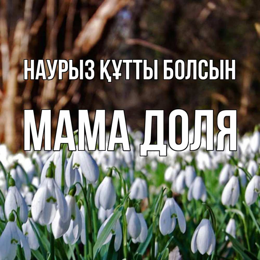 Открытка на каждый день с именем, Мама-Доля Наурыз құтты болсын с подснежниками 1 Прикольная открытка с пожеланием онлайн скачать бесплатно 