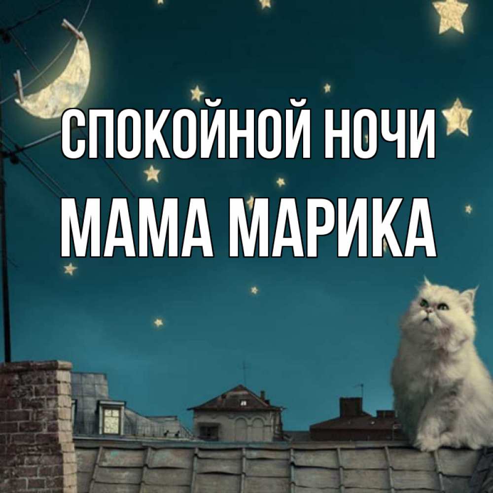 Открытка на каждый день с именем, Мама-Марика Спокойной ночи белый кот сидит на крыше Прикольная открытка с пожеланием онлайн скачать бесплатно 