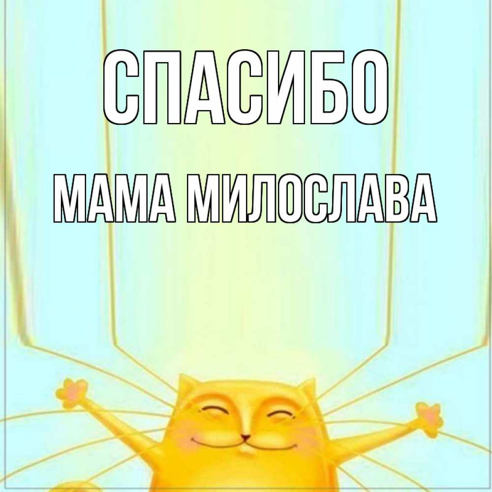 Открытка на каждый день с именем, Мама-Милослава Спасибо кот с усами благодарит Прикольная открытка с пожеланием онлайн скачать бесплатно 