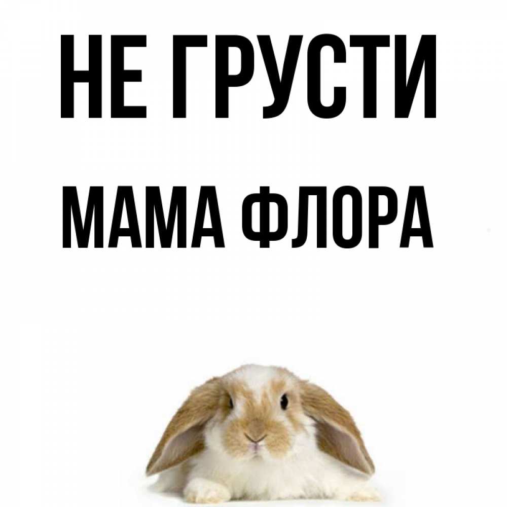 Открытка на каждый день с именем, Мама-Флора Не грусти коричнево белый заяц с большими ушками Прикольная открытка с пожеланием онлайн скачать бесплатно 