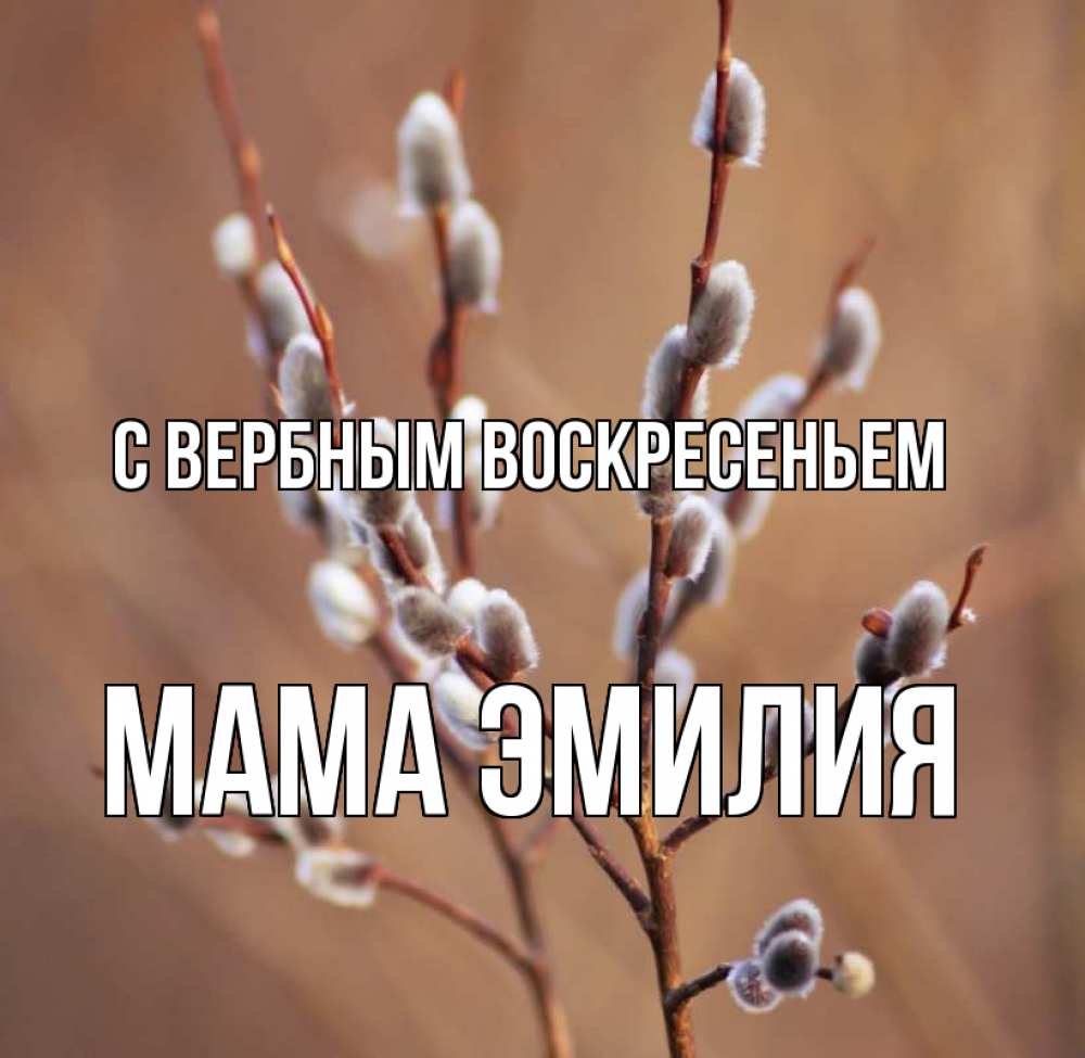 Открытка на каждый день с именем, Мама-Эмилия С вербным воскресеньем верба Прикольная открытка с пожеланием онлайн скачать бесплатно 