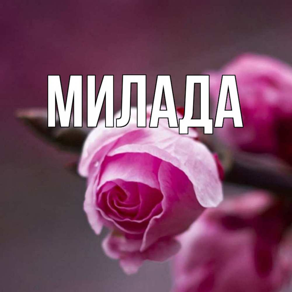 Открытка на каждый день с именем, Милада Главная весна Прикольная открытка с пожеланием онлайн скачать бесплатно 