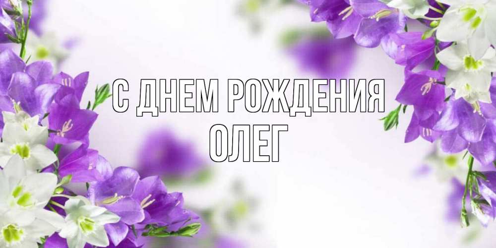 Открытка на каждый день с именем, ОЛЕГ С днем рождения открытка на день рождения с сиреневыми цветами Прикольная открытка с пожеланием онлайн скачать бесплатно 