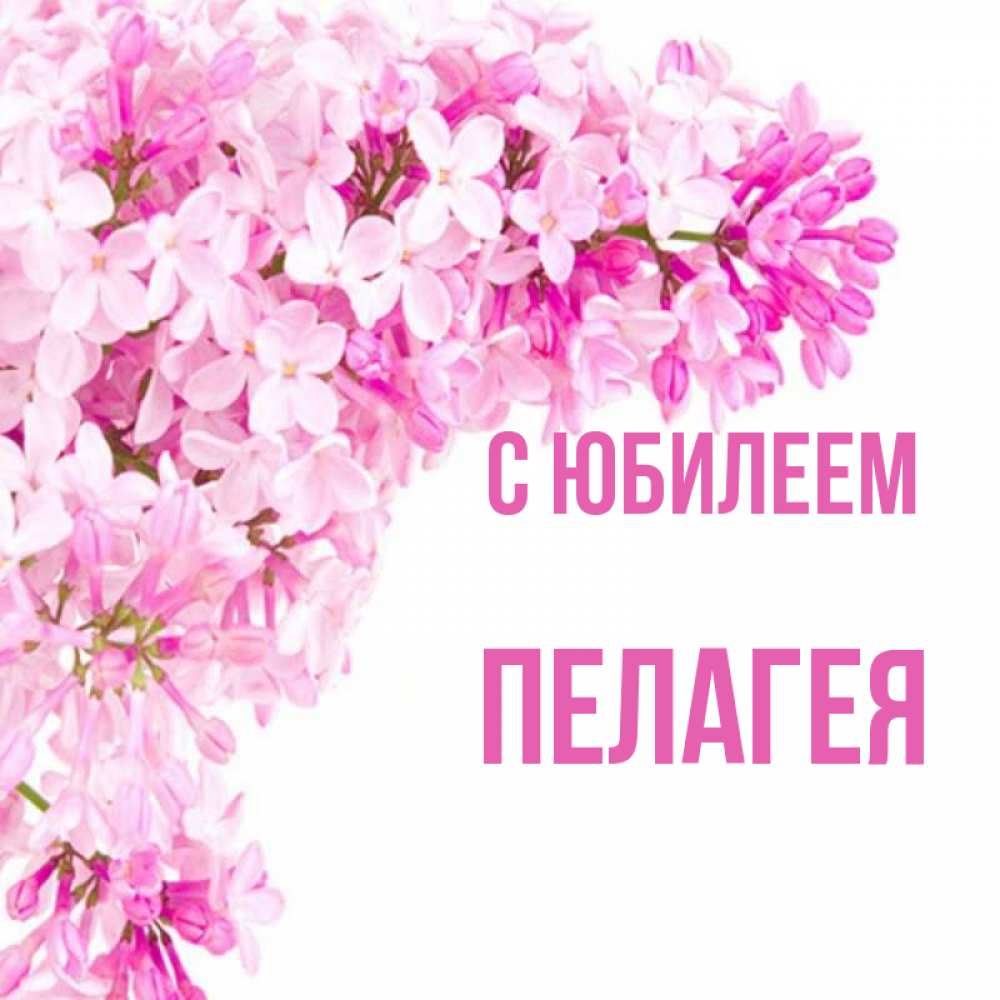 Открытка на каждый день с именем, Пелагея С юбилеем Сирень на белом фоне Прикольная открытка с пожеланием онлайн скачать бесплатно 