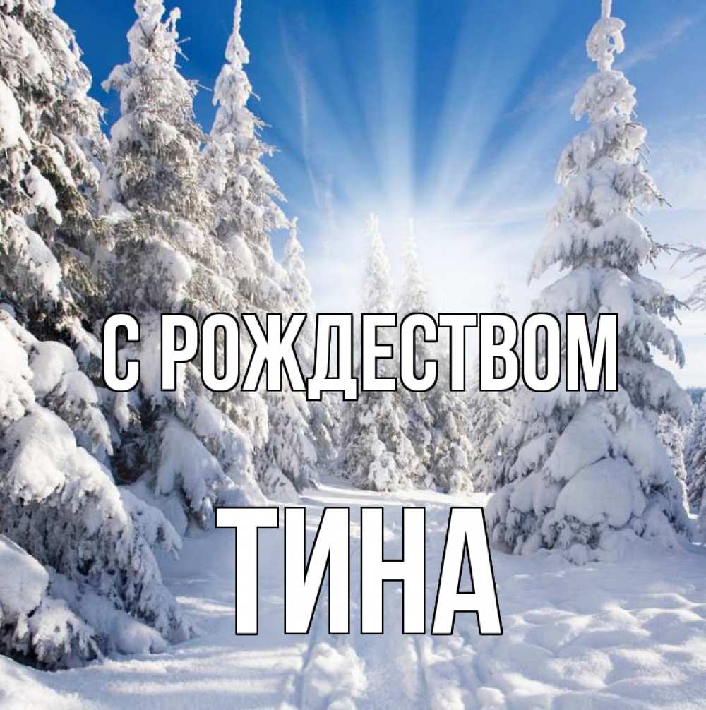 Открытка на каждый день с именем, Тина С рождеством зима, лес Прикольная открытка с пожеланием онлайн скачать бесплатно 