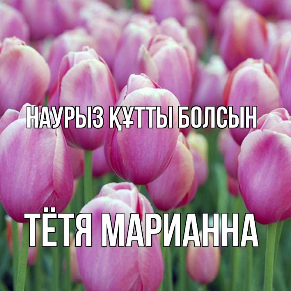 Открытка на каждый день с именем, Тётя-Марианна Наурыз құтты болсын на наурыз  день 3 Прикольная открытка с пожеланием онлайн скачать бесплатно 