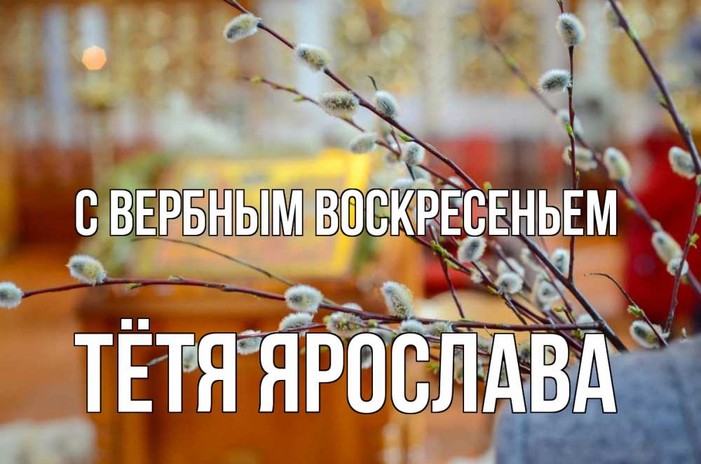 Открытка на каждый день с именем, Тётя-Ярослава С вербным воскресеньем верба Прикольная открытка с пожеланием онлайн скачать бесплатно 