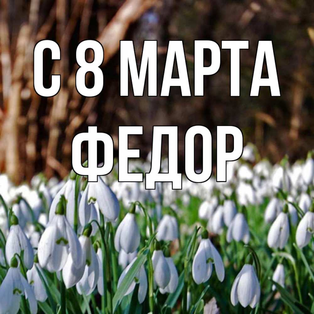 Открытка на каждый день с именем, Федор С 8 МАРТА с подснежниками 1 Прикольная открытка с пожеланием онлайн скачать бесплатно 