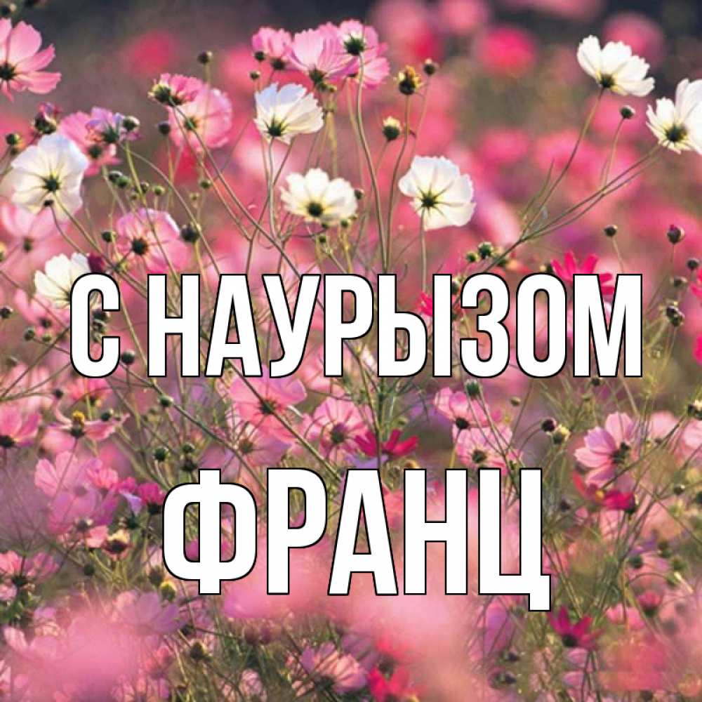 Открытка на каждый день с именем, Франц С наурызом красиво 1 Прикольная открытка с пожеланием онлайн скачать бесплатно 