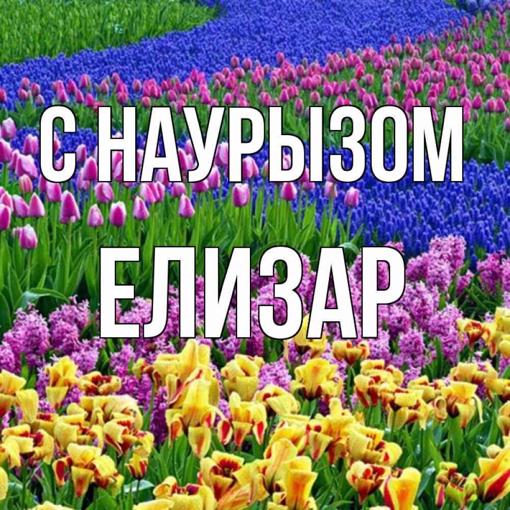 Открытка на каждый день с именем, Елизар С наурызом цветы Прикольная открытка с пожеланием онлайн скачать бесплатно 