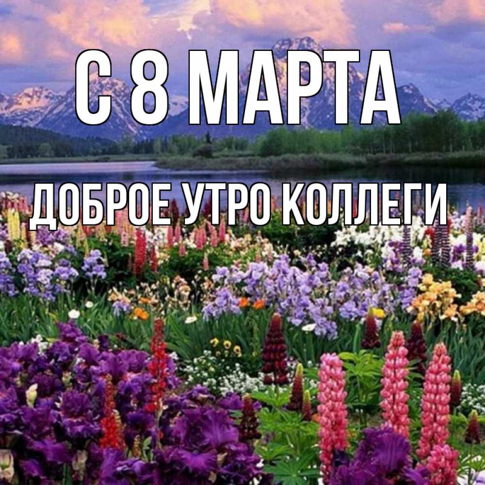 Открытка на каждый день с именем, Доброе-утро-Коллеги С 8 марта международный женский день Прикольная открытка с пожеланием онлайн скачать бесплатно 