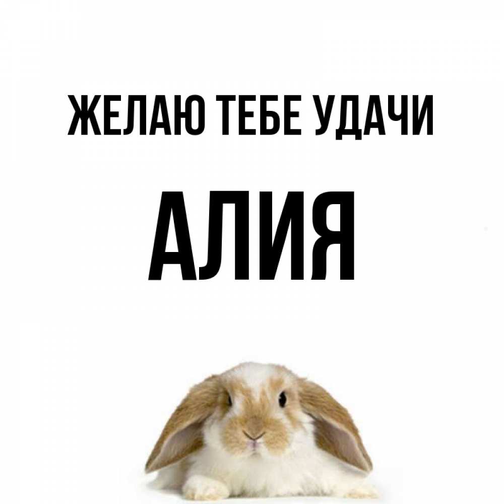 Смешные картинки про алию, дню железнодорожника