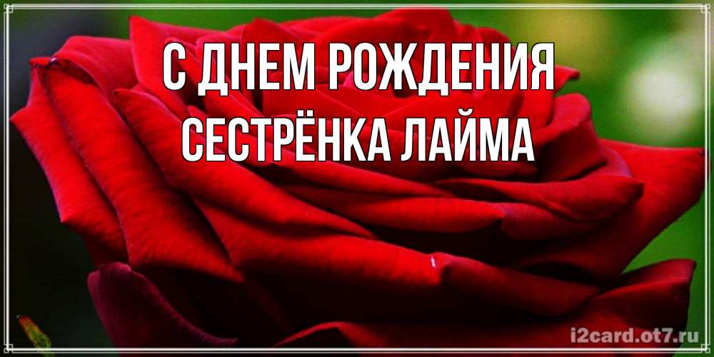 Открытка на каждый день с именем, Сестрёнка-Лайма С днем рождения розочка очень красивая Прикольная открытка с пожеланием онлайн скачать бесплатно 