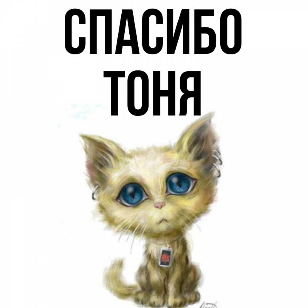 Полное имя тони