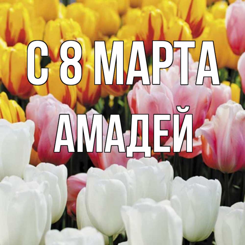 Открытка на каждый день с именем, Амадей С 8 МАРТА разноцветные цветы Прикольная открытка с пожеланием онлайн скачать бесплатно 