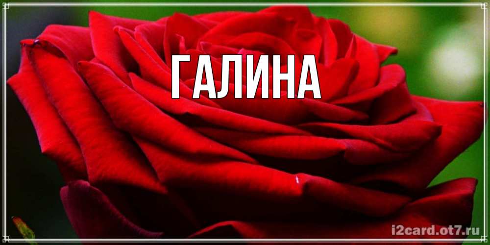 Картинка  с именем , Галина