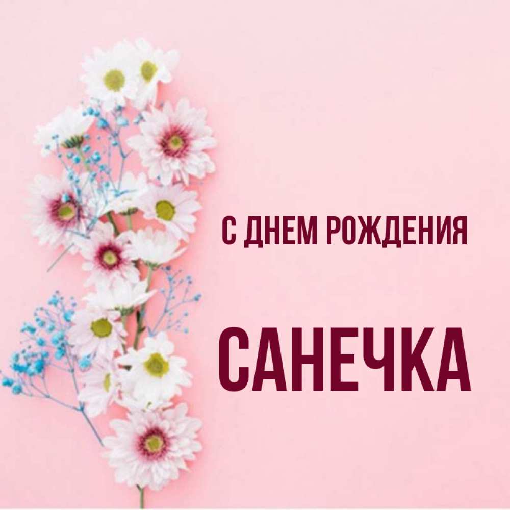 С днем рождения санечка картинки
