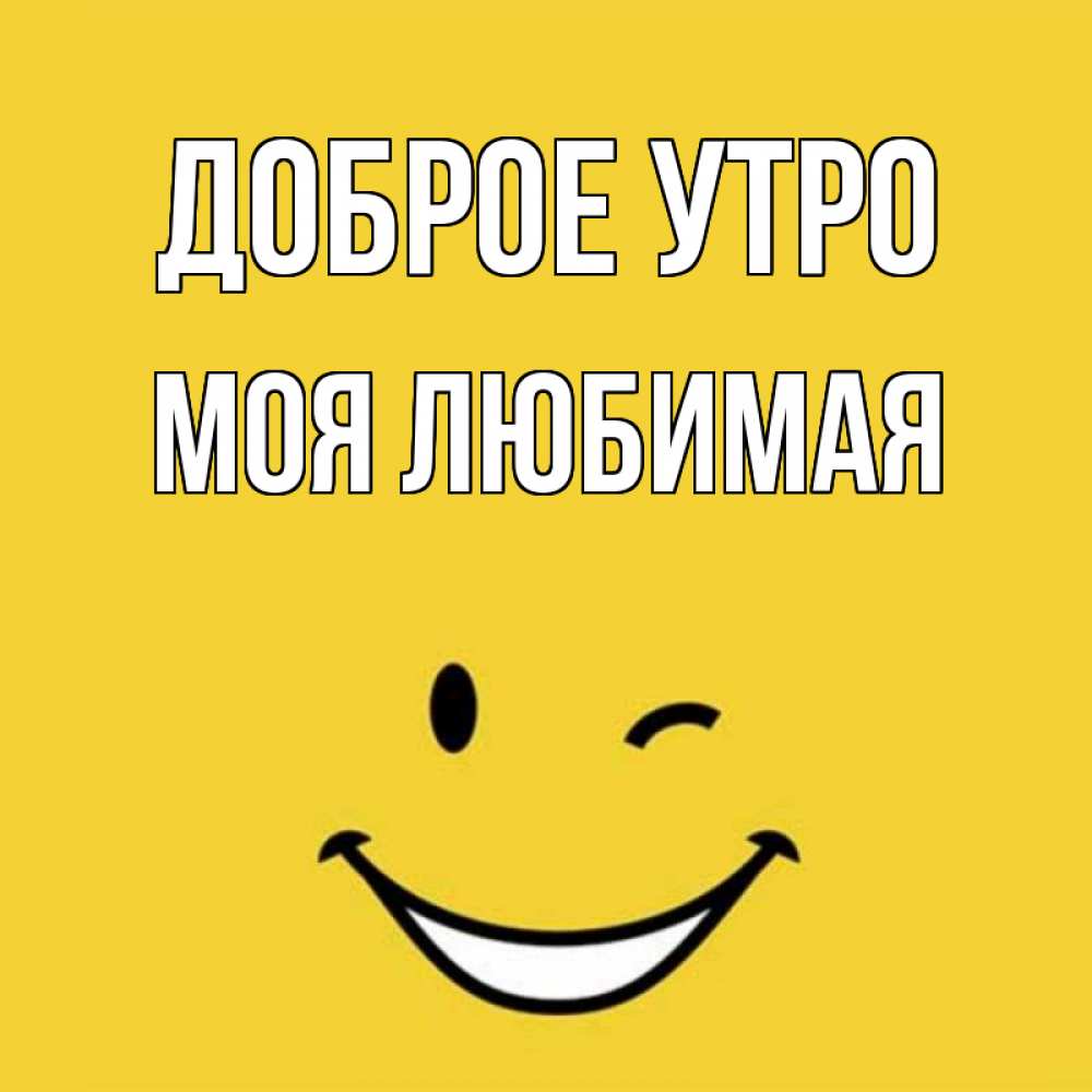 Отец, доброе утро любимый мой открытки мультяшные с михой