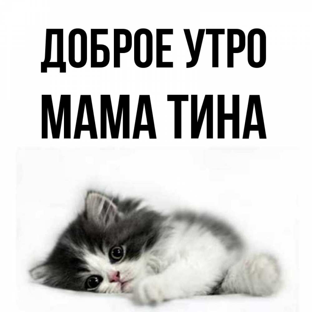 Открытка на каждый день с именем, Мама-Тина Доброе утро кот лапки Прикольная открытка с пожеланием онлайн скачать бесплатно 