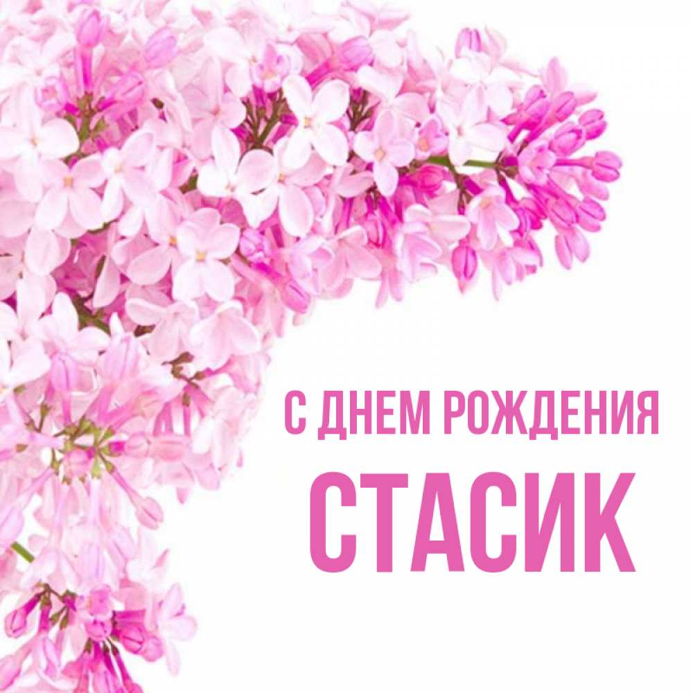 Стасик с днем рождения картинки