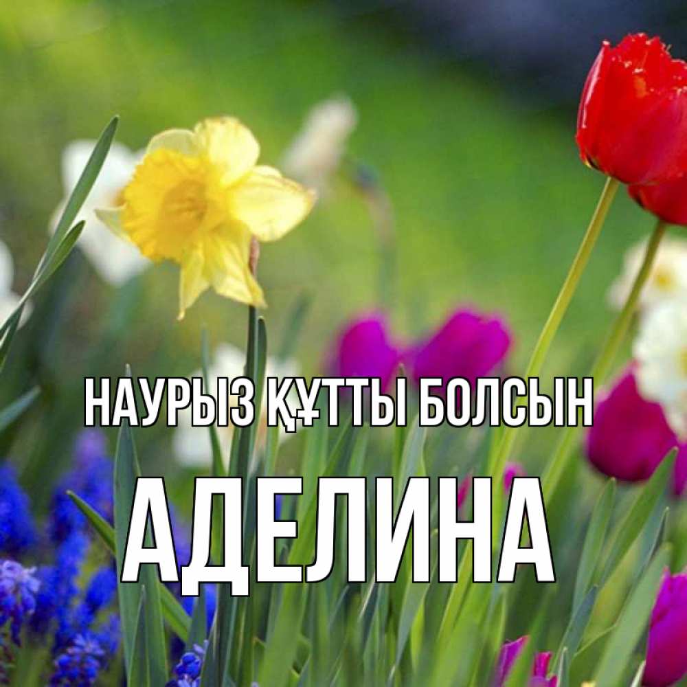 Открытка на каждый день с именем, Аделина Наурыз құтты болсын наурыз  3 открытки Прикольная открытка с пожеланием онлайн скачать бесплатно 