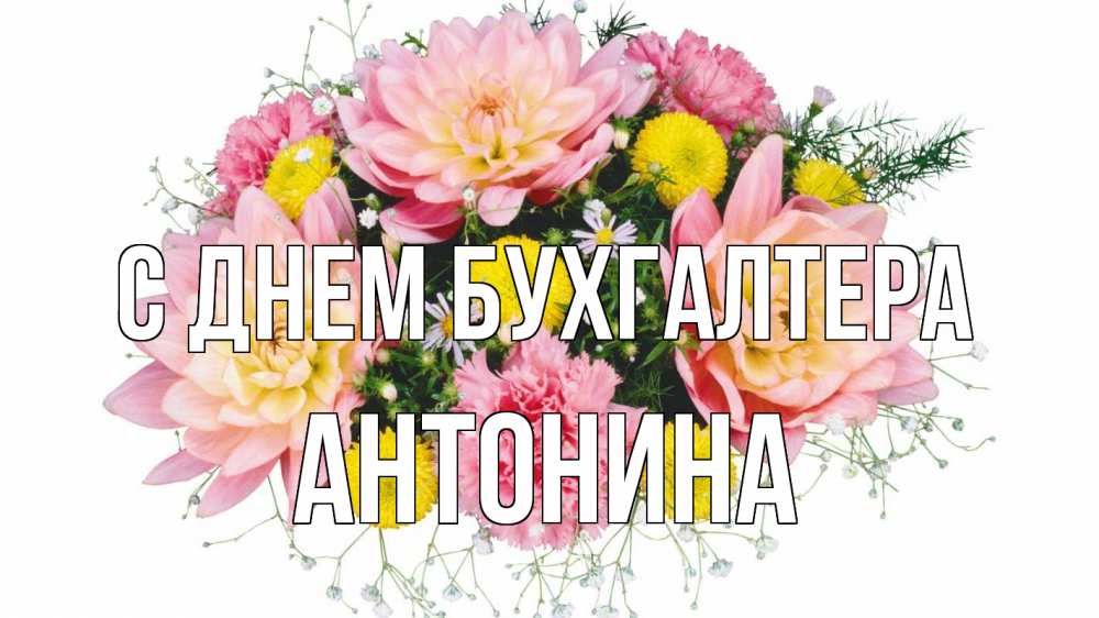 Открытка на каждый день с именем, Антонина С днем бухгалтера с днем бухгалтера Прикольная открытка с пожеланием онлайн скачать бесплатно 