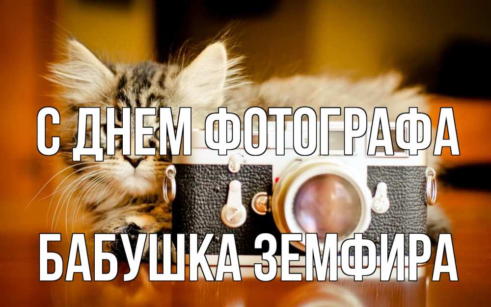 Открытка на каждый день с именем, Бабушка-Земфира С днем фотографа с днем фотографа Прикольная открытка с пожеланием онлайн скачать бесплатно 