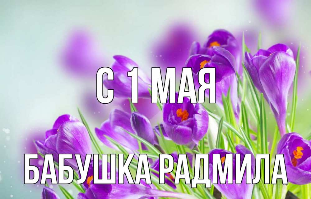 Открытка на каждый день с именем, Бабушка-Радмила С 1 мая 1 мая Прикольная открытка с пожеланием онлайн скачать бесплатно 