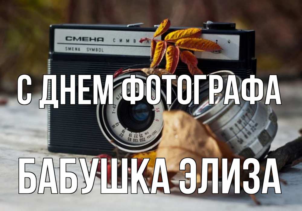 Открытка на каждый день с именем, Бабушка-Элиза С днем фотографа с днем фотографа Прикольная открытка с пожеланием онлайн скачать бесплатно 