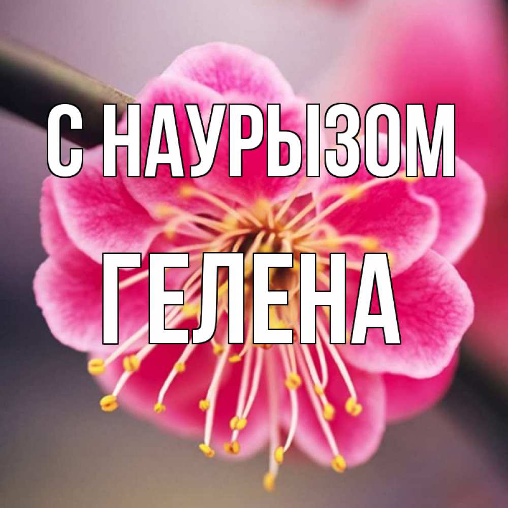Открытка на каждый день с именем, Гелена С наурызом цветы Прикольная открытка с пожеланием онлайн скачать бесплатно 