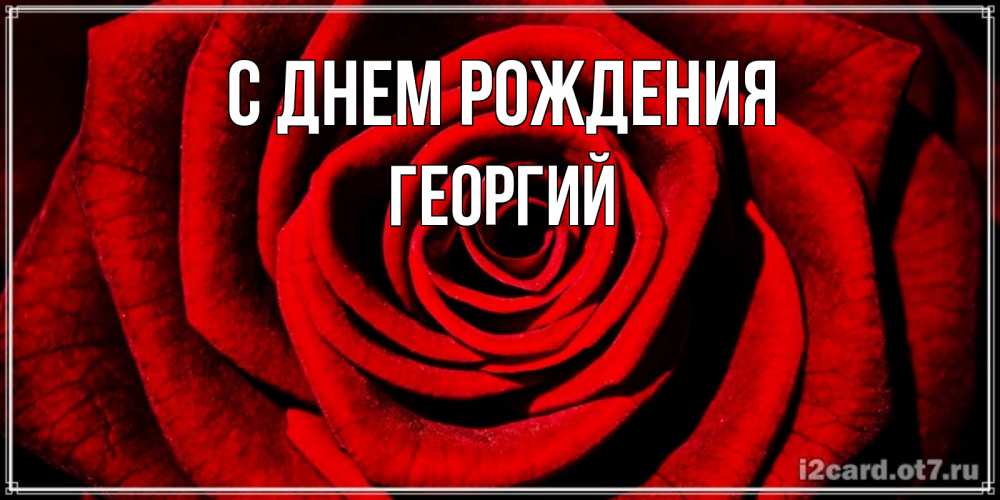 Открытка на каждый день с именем, Георгий С днем рождения алая роза Прикольная открытка с пожеланием онлайн скачать бесплатно 