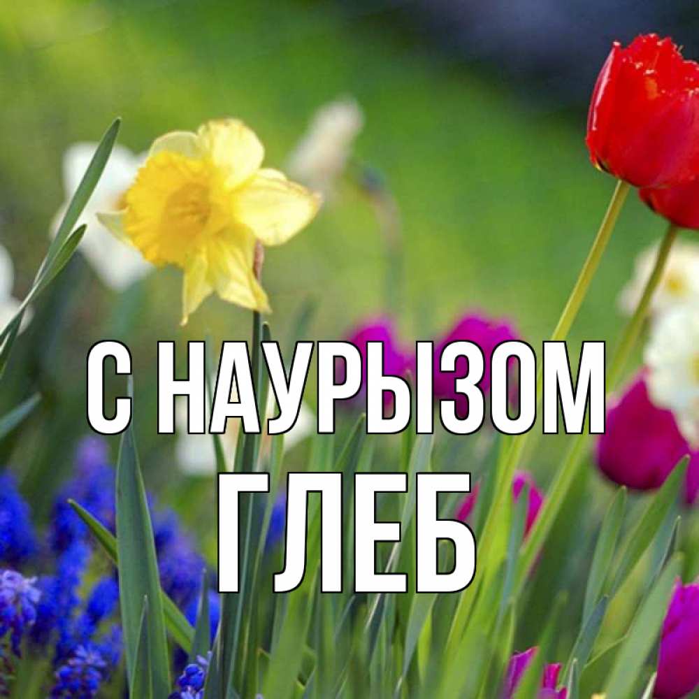Открытка на каждый день с именем, Глеб С наурызом праздник весны наурыз 3 Прикольная открытка с пожеланием онлайн скачать бесплатно 