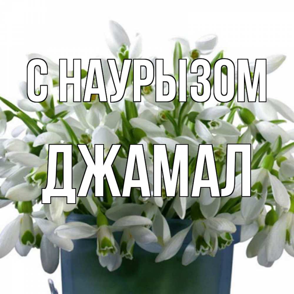 Открытка на каждый день с именем, Джамал С наурызом цветы к наурызу новый год в Казахстане Прикольная открытка с пожеланием онлайн скачать бесплатно 