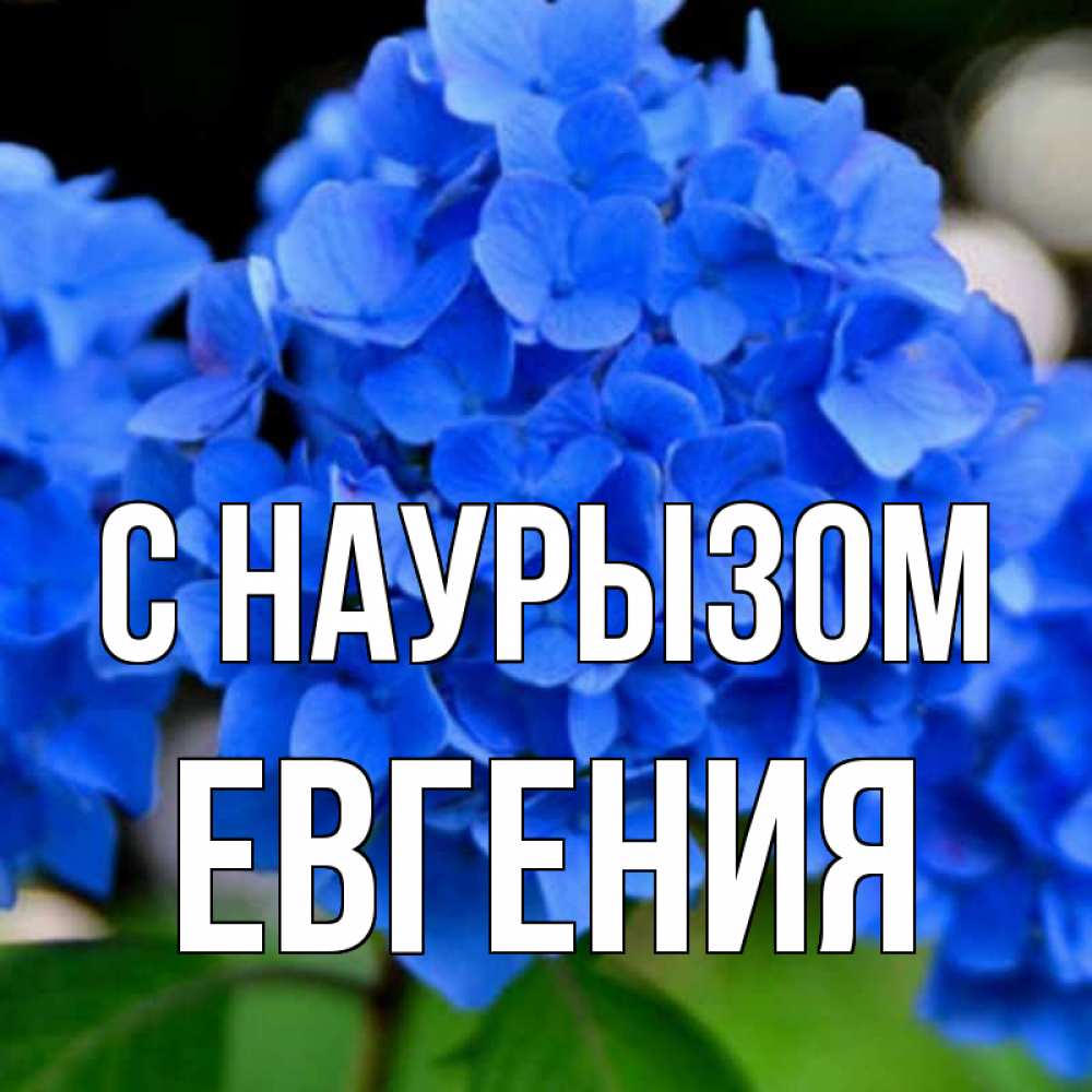 Открытка на каждый день с именем, Евгения С наурызом синие цветы Прикольная открытка с пожеланием онлайн скачать бесплатно 