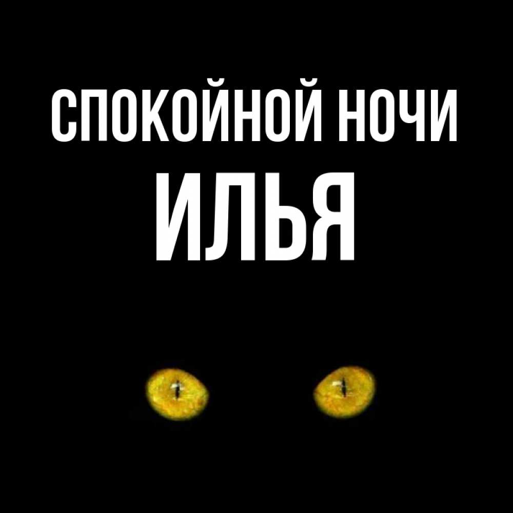 Открытка на каждый день с именем, Илья Спокойной ночи сладких снов бесстрашный мой дружочек Прикольная открытка с пожеланием онлайн скачать бесплатно 