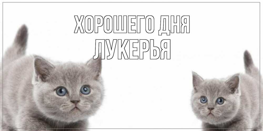 Открытка на каждый день с именем, Лукерья Хорошего дня открытка с котами Прикольная открытка с пожеланием онлайн скачать бесплатно 