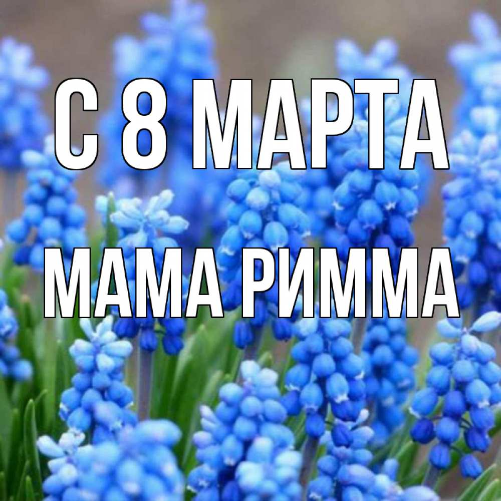 Открытка на каждый день с именем, Мама-Римма С 8 МАРТА Поздравительная открытка для женщин с цветами на праздничную дату Прикольная открытка с пожеланием онлайн скачать бесплатно 