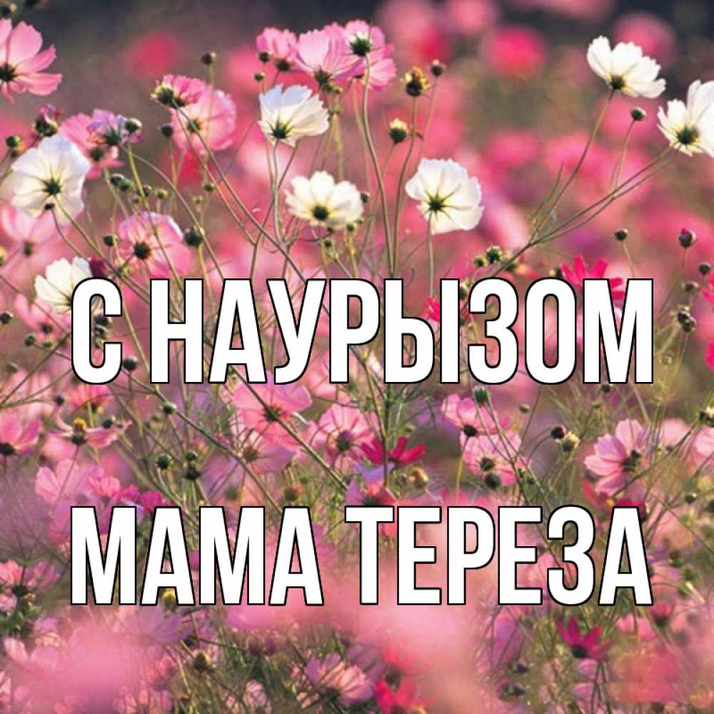 Открытка на каждый день с именем, Мама-Тереза С наурызом красиво 1 Прикольная открытка с пожеланием онлайн скачать бесплатно 