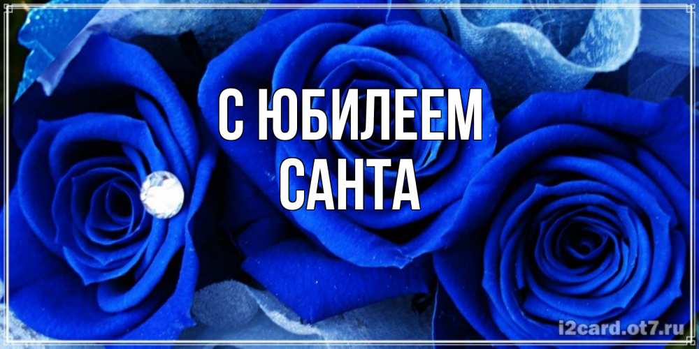 Открытка на каждый день с именем, Санта С юбилеем синие розы в росе Прикольная открытка с пожеланием онлайн скачать бесплатно 