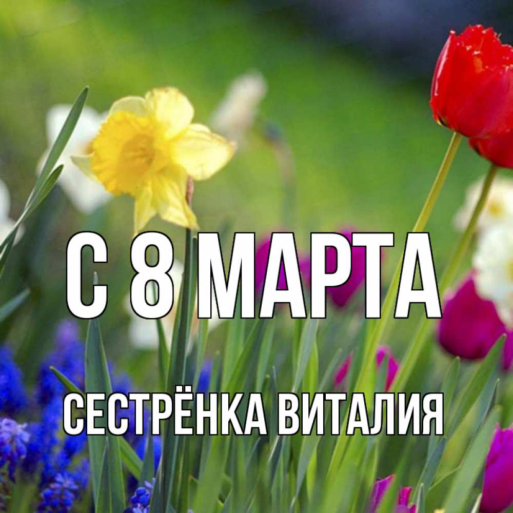 Открытка на каждый день с именем, Сестрёнка-Виталия С 8 марта международный женский день 3 Прикольная открытка с пожеланием онлайн скачать бесплатно 