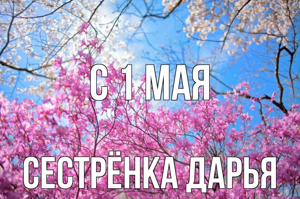 Открытка на каждый день с именем, Сестрёнка-Дарья С 1 мая С 1 мая Прикольная открытка с пожеланием онлайн скачать бесплатно 