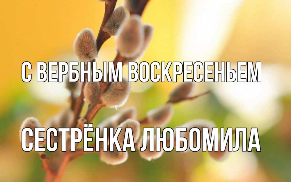 Открытка на каждый день с именем, Сестрёнка-Любомила С вербным воскресеньем верба Прикольная открытка с пожеланием онлайн скачать бесплатно 
