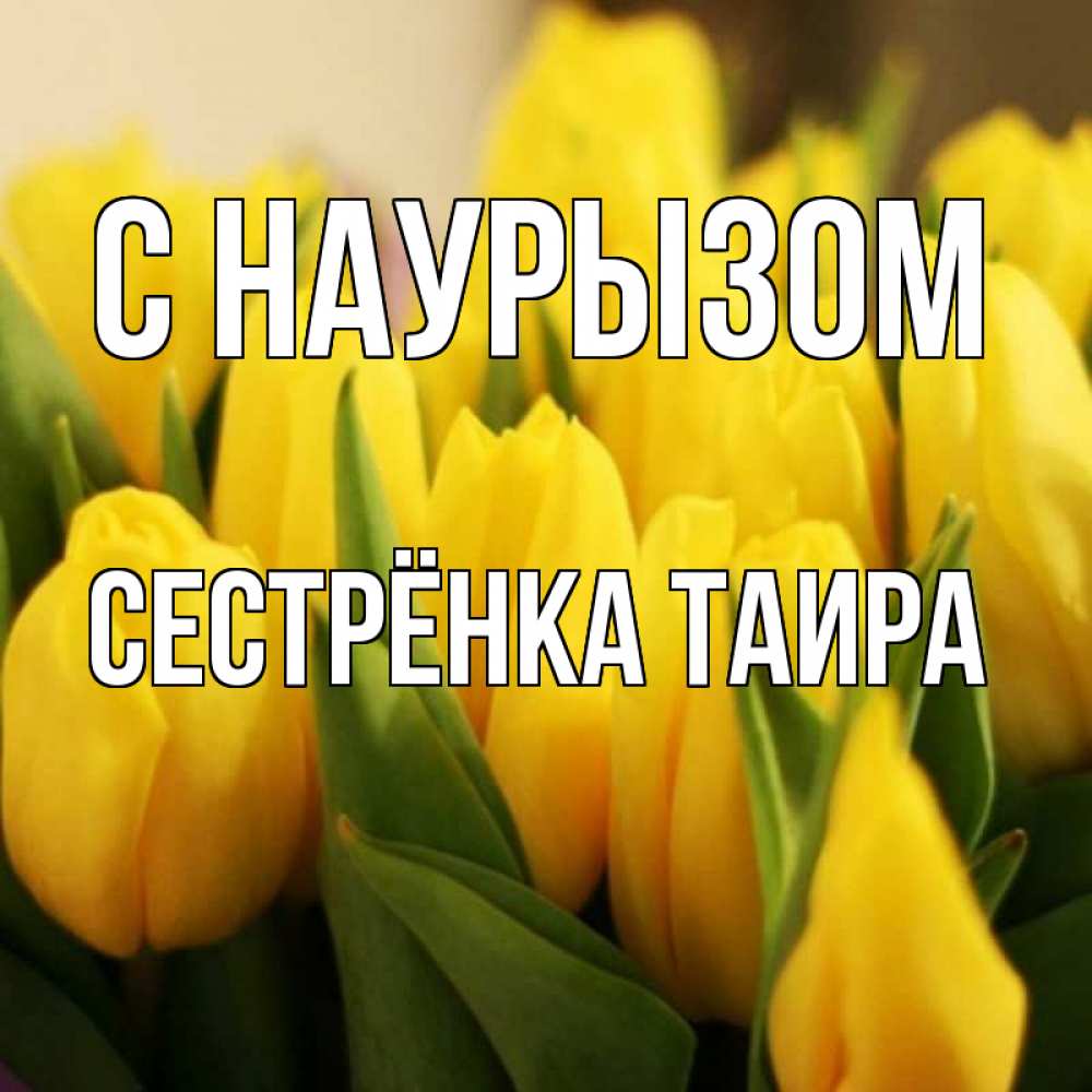Открытка на каждый день с именем, Сестрёнка-Таира С наурызом цветы Прикольная открытка с пожеланием онлайн скачать бесплатно 