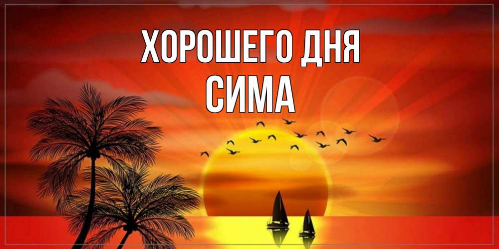 Открытка на каждый день с именем, Сима Хорошего дня открытки с пожеланиями хорошего дня Прикольная открытка с пожеланием онлайн скачать бесплатно 