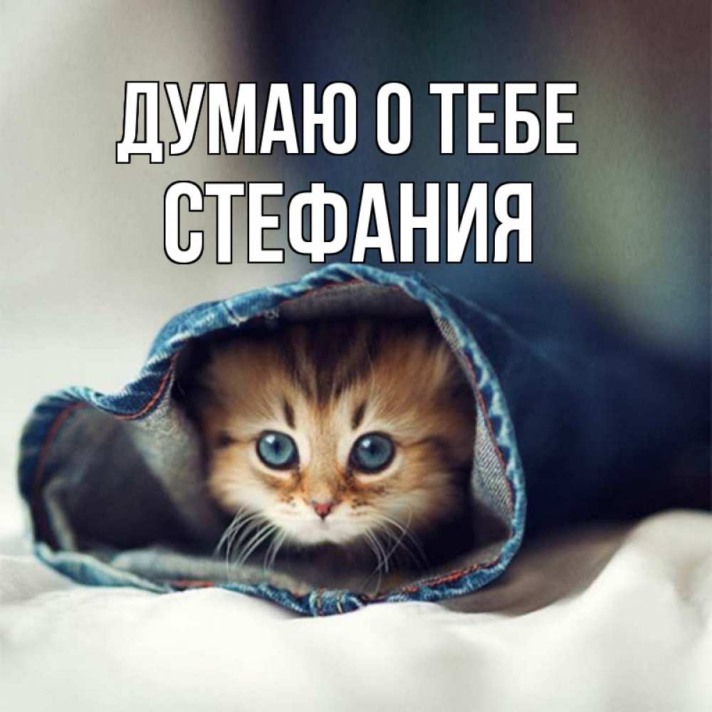 Открытка на каждый день с именем, Стефания Думаю о тебе мне без тебя плохо Прикольная открытка с пожеланием онлайн скачать бесплатно 