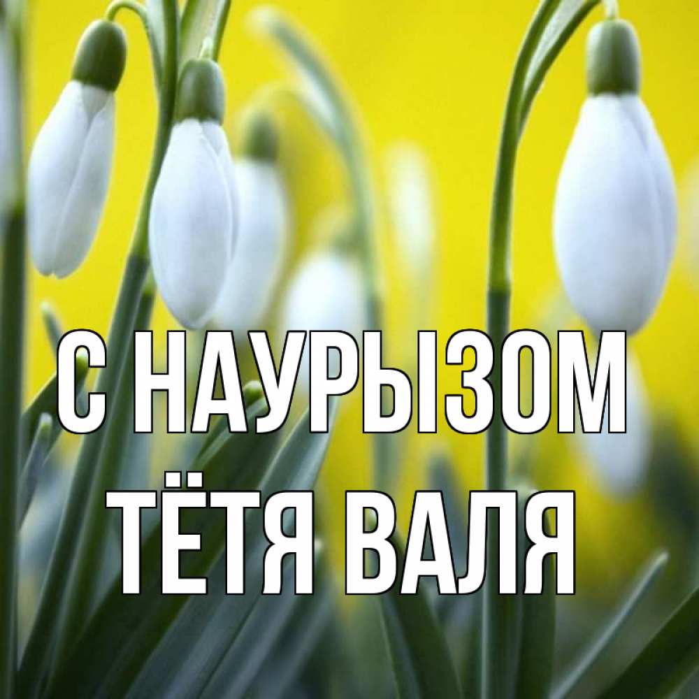 Открытка на каждый день с именем, Тётя-Валя С наурызом весенние цветы Прикольная открытка с пожеланием онлайн скачать бесплатно 