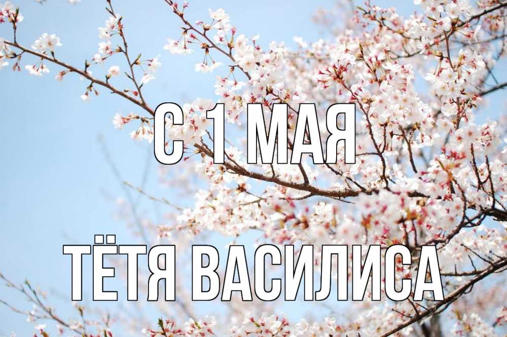 Открытка на каждый день с именем, Тётя-Василиса С 1 мая С 1 мая Прикольная открытка с пожеланием онлайн скачать бесплатно 