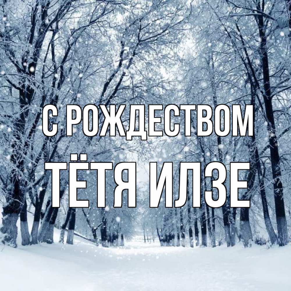 Открытка на каждый день с именем, Тётя-Илзе С рождеством снег, лес, парк Прикольная открытка с пожеланием онлайн скачать бесплатно 