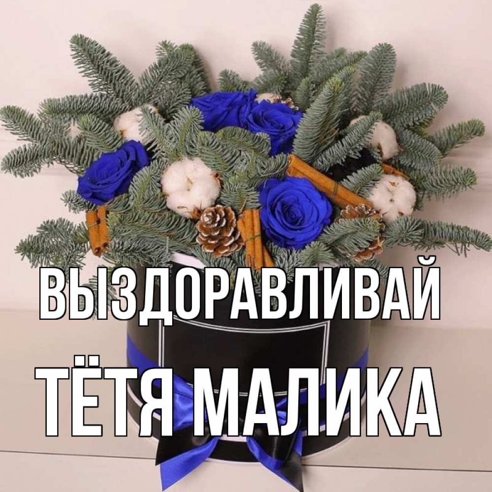 Открытка на каждый день с именем, Тётя-Малика Выздоравливай короче кто то загрузил эти шишки Прикольная открытка с пожеланием онлайн скачать бесплатно 